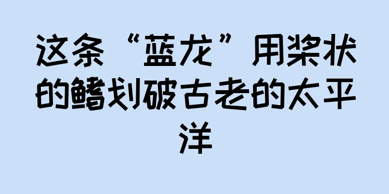 这条“蓝龙”用桨状的鳍划破古老的太平洋