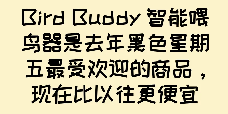 Bird Buddy 智能喂鸟器是去年黑色星期五最受欢迎的商品，现在比以往更便宜