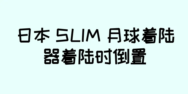 日本 SLIM 月球着陆器着陆时倒置