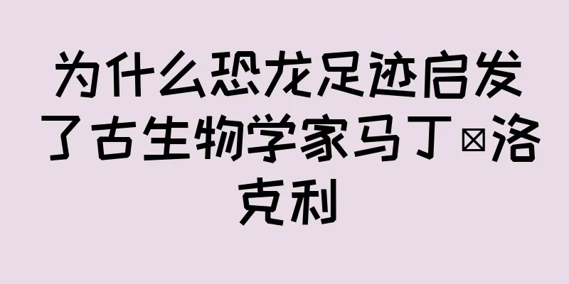 为什么恐龙足迹启发了古生物学家马丁·洛克利