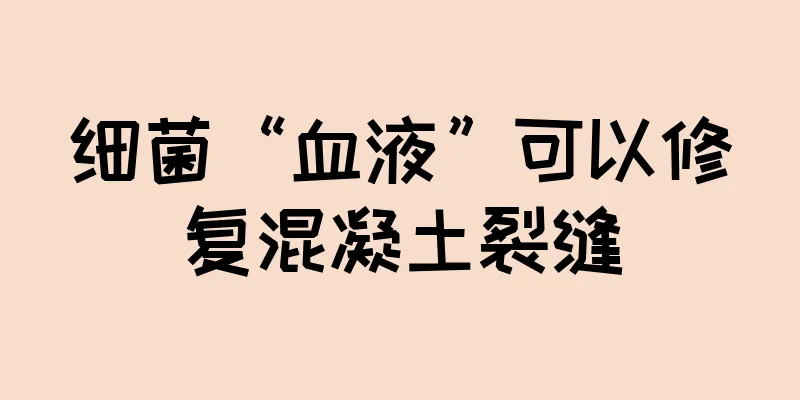细菌“血液”可以修复混凝土裂缝