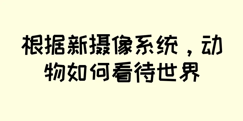 根据新摄像系统，动物如何看待世界
