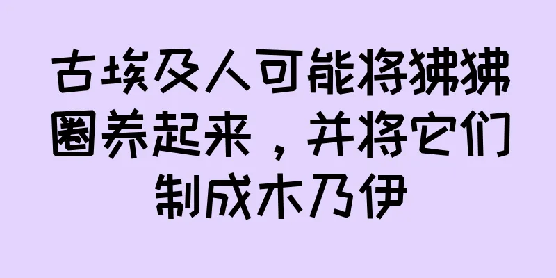 古埃及人可能将狒狒圈养起来，并将它们制成木乃伊