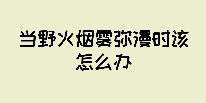当野火烟雾弥漫时该怎么办
