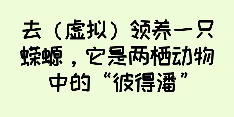 去（虚拟）领养一只蝾螈，它是两栖动物中的“彼得潘”