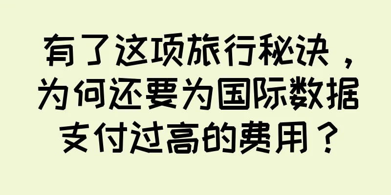 有了这项旅行秘诀，为何还要为国际数据支付过高的费用？