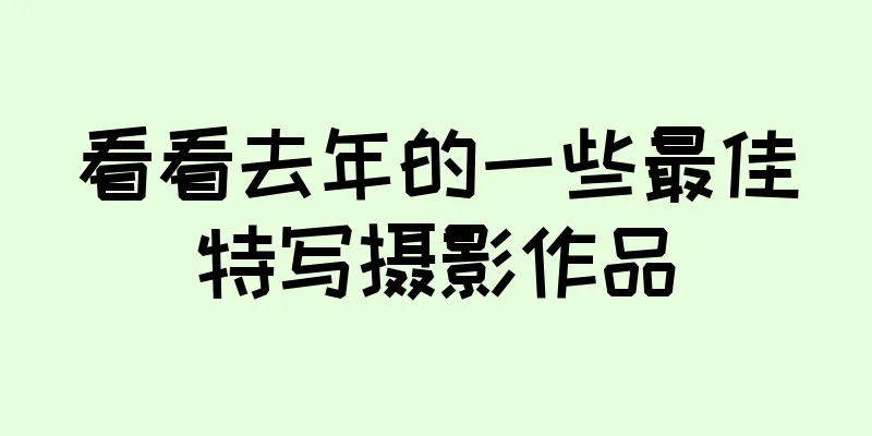 看看去年的一些最佳特写摄影作品