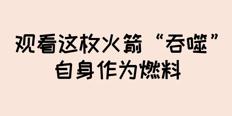 观看这枚火箭“吞噬”自身作为燃料