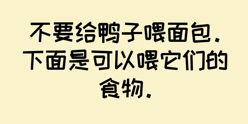 不要给鸭子喂面包。下面是可以喂它们的食物。