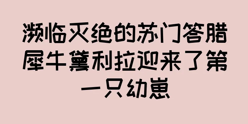 濒临灭绝的苏门答腊犀牛黛利拉迎来了第一只幼崽