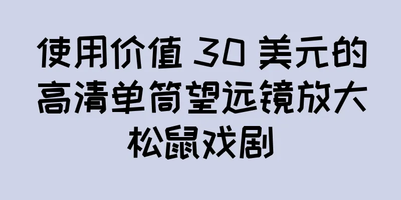 使用价值 30 美元的高清单筒望远镜放大松鼠戏剧