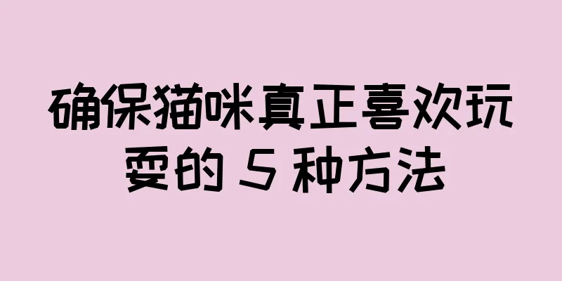 确保猫咪真正喜欢玩耍的 5 种方法