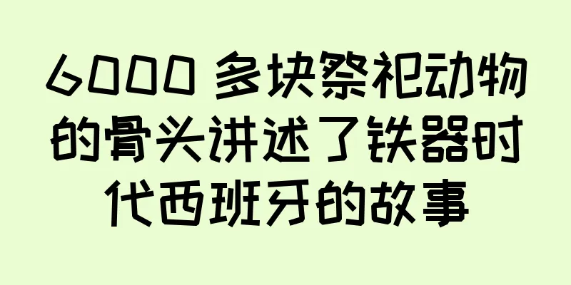 6000 多块祭祀动物的骨头讲述了铁器时代西班牙的故事