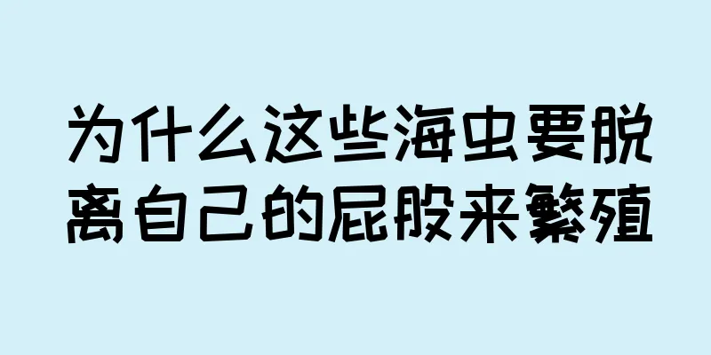 为什么这些海虫要脱离自己的屁股来繁殖