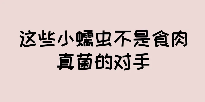 这些小蠕虫不是食肉真菌的对手