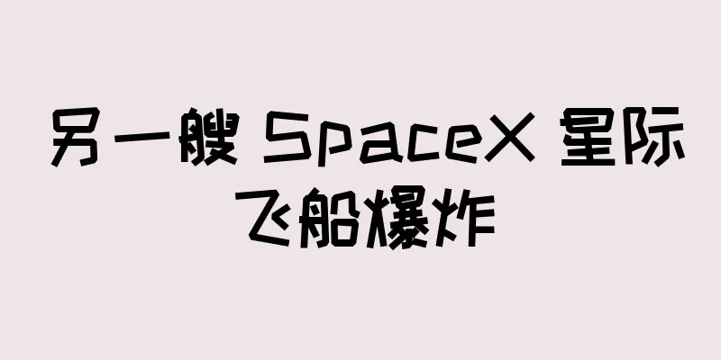 另一艘 SpaceX 星际飞船爆炸