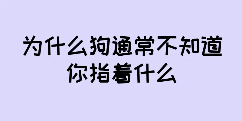 为什么狗通常不知道你指着什么