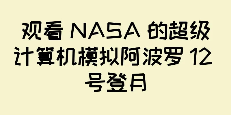 观看 NASA 的超级计算机模拟阿波罗 12 号登月