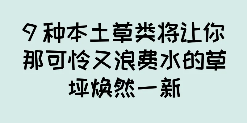 9 种本土草类将让你那可怜又浪费水的草坪焕然一新