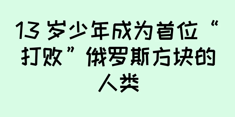 13 岁少年成为首位“打败”俄罗斯方块的人类