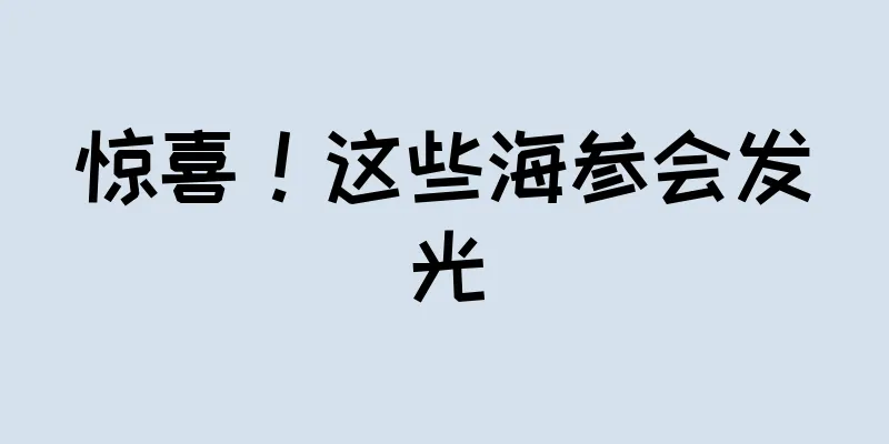惊喜！这些海参会发光
