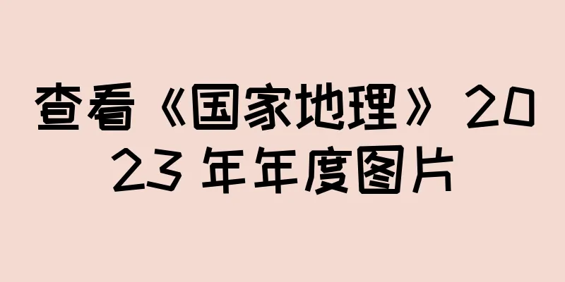 查看《国家地理》 2023 年年度图片
