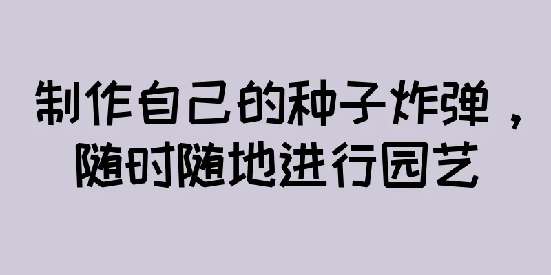 制作自己的种子炸弹，随时随地进行园艺