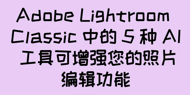 Adobe Lightroom Classic 中的 5 种 AI 工具可增强您的照片编辑功能