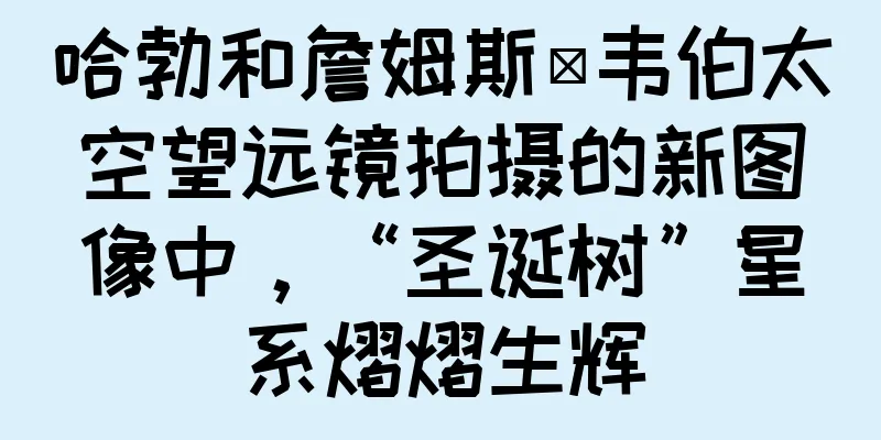 哈勃和詹姆斯·韦伯太空望远镜拍摄的新图像中，“圣诞树”星系熠熠生辉