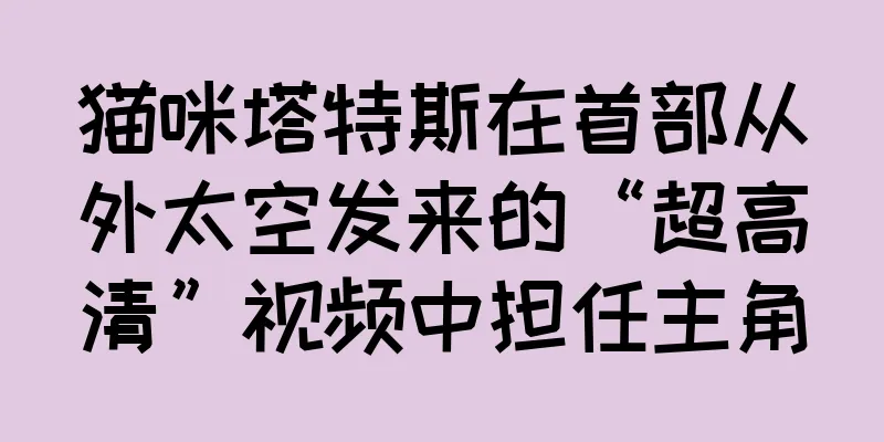 猫咪塔特斯在首部从外太空发来的“超高清”视频中担任主角