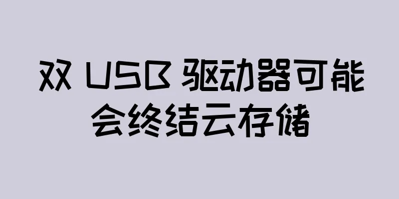 双 USB 驱动器可能会终结云存储