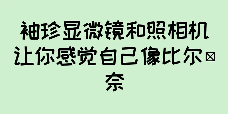 袖珍显微镜和照相机让你感觉自己像比尔·奈