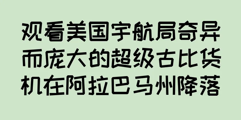 观看美国宇航局奇异而庞大的超级古比货机在阿拉巴马州降落