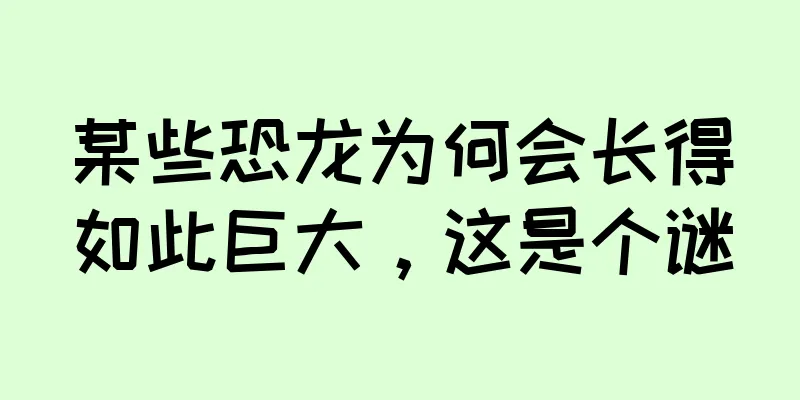 某些恐龙为何会长得如此巨大，这是个谜