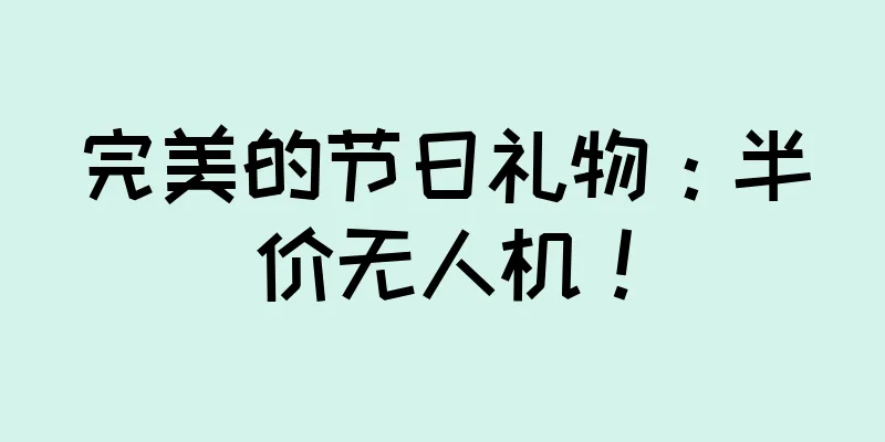 完美的节日礼物：半价无人机！