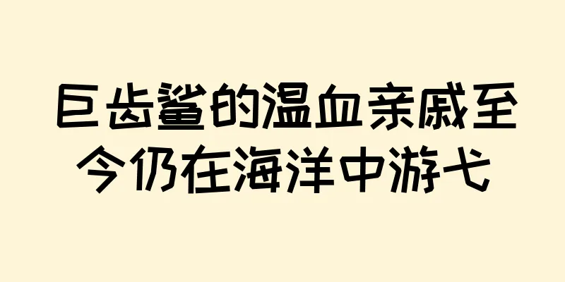 巨齿鲨的温血亲戚至今仍在海洋中游弋