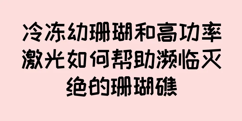 冷冻幼珊瑚和高功率激光如何帮助濒临灭绝的珊瑚礁