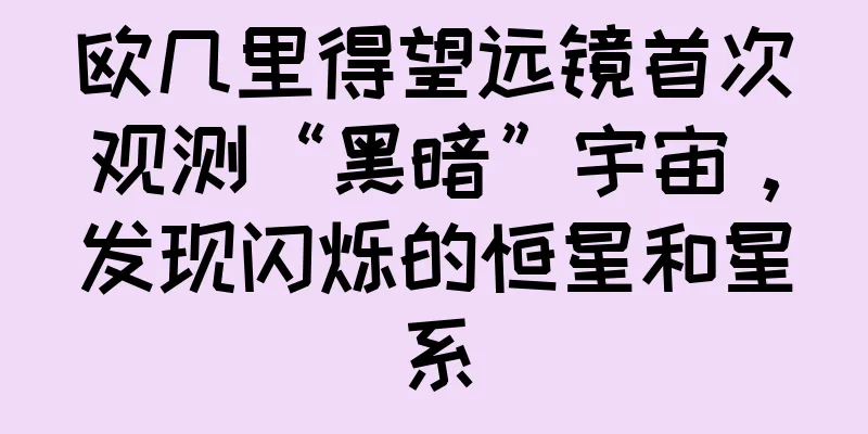 欧几里得望远镜首次观测“黑暗”宇宙，发现闪烁的恒星和星系