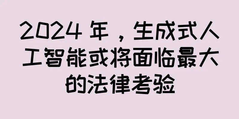 2024 年，生成式人工智能或将面临最大的法律考验