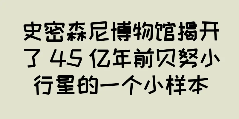 史密森尼博物馆揭开了 45 亿年前贝努小行星的一个小样本