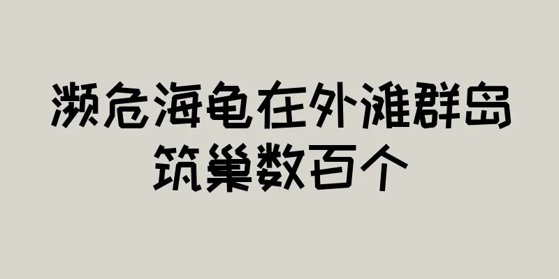 濒危海龟在外滩群岛筑巢数百个