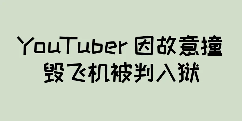 YouTuber 因故意撞毁飞机被判入狱