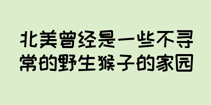 北美曾经是一些不寻常的野生猴子的家园