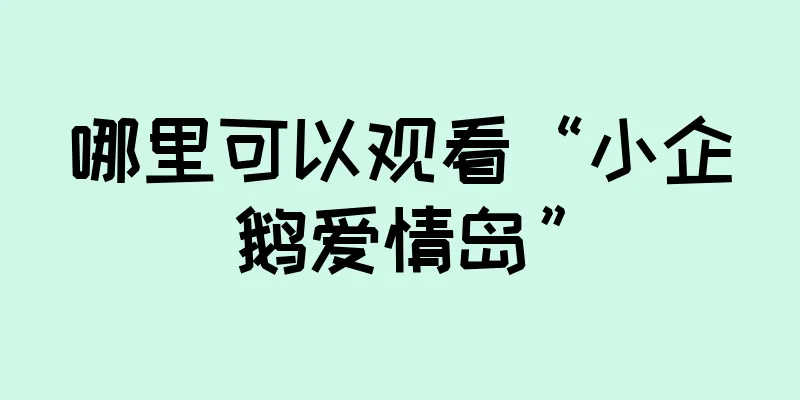 哪里可以观看“小企鹅爱情岛”
