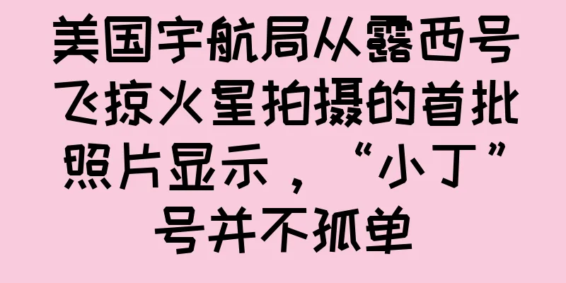 美国宇航局从露西号飞掠火星拍摄的首批照片显示，“小丁”号并不孤单