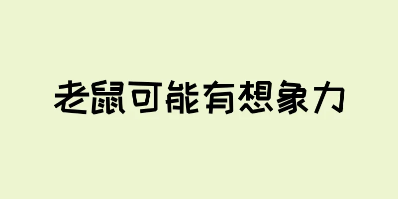 老鼠可能有想象力