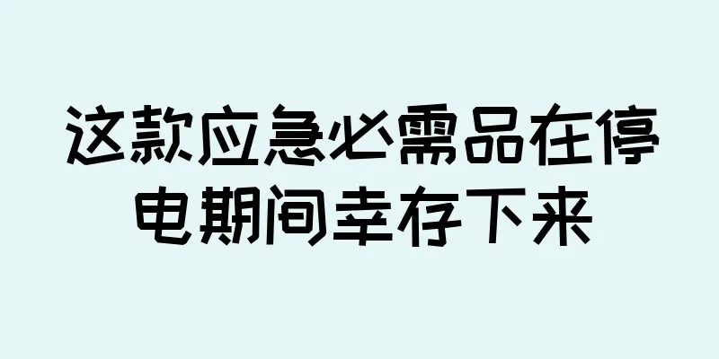 这款应急必需品在停电期间幸存下来