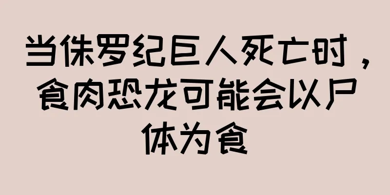 当侏罗纪巨人死亡时，食肉恐龙可能会以尸体为食