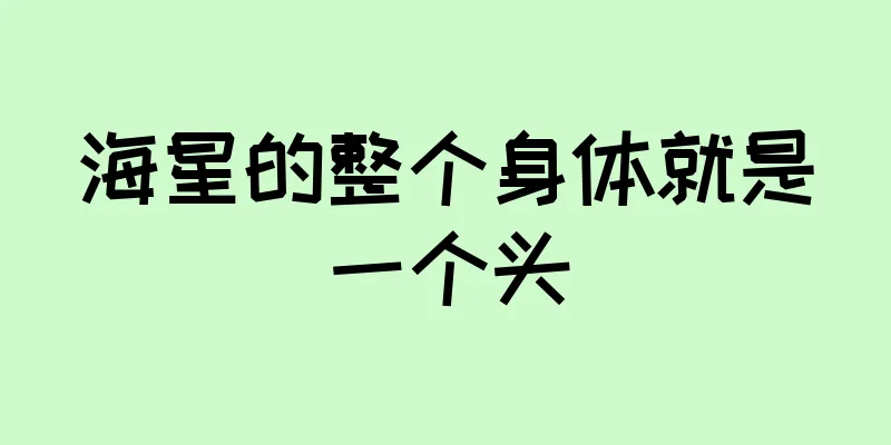 海星的整个身体就是一个头