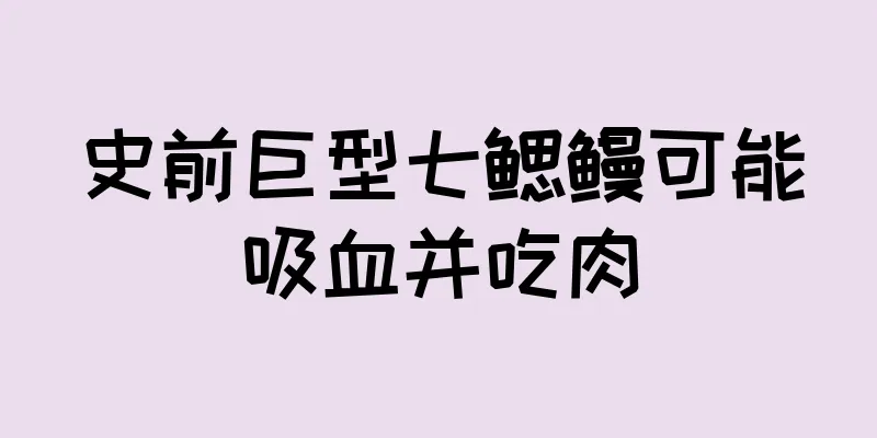 史前巨型七鳃鳗可能吸血并吃肉